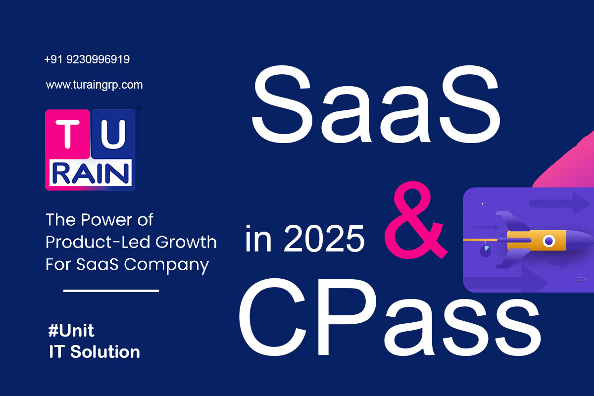 SaaS Industry